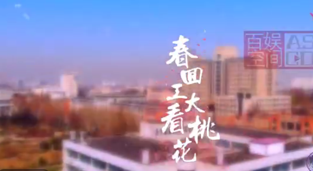 桃花節